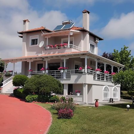 Vila Tammy'S Garden House Leptokaria Exteriér fotografie