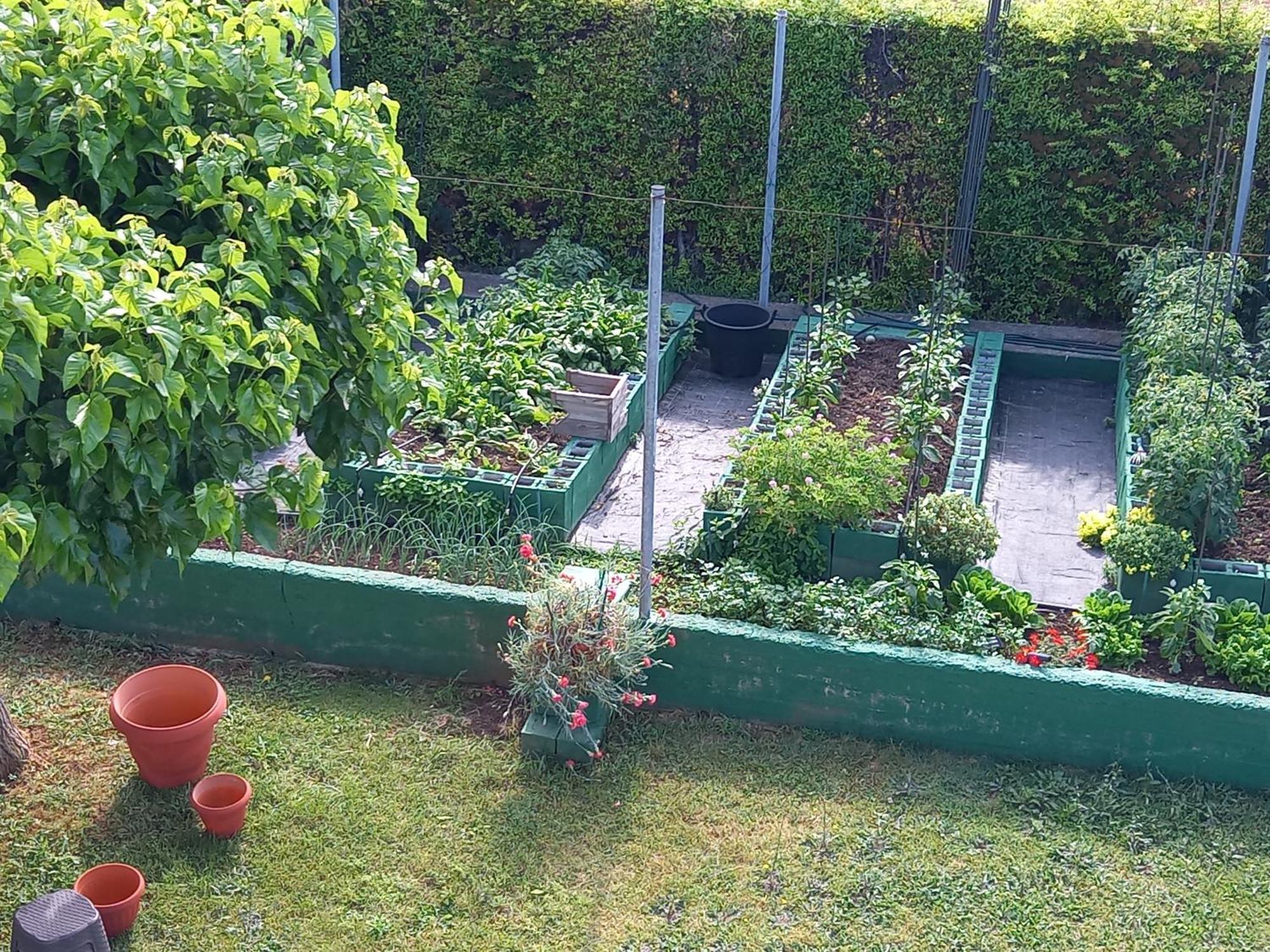 Vila Tammy'S Garden House Leptokaria Exteriér fotografie