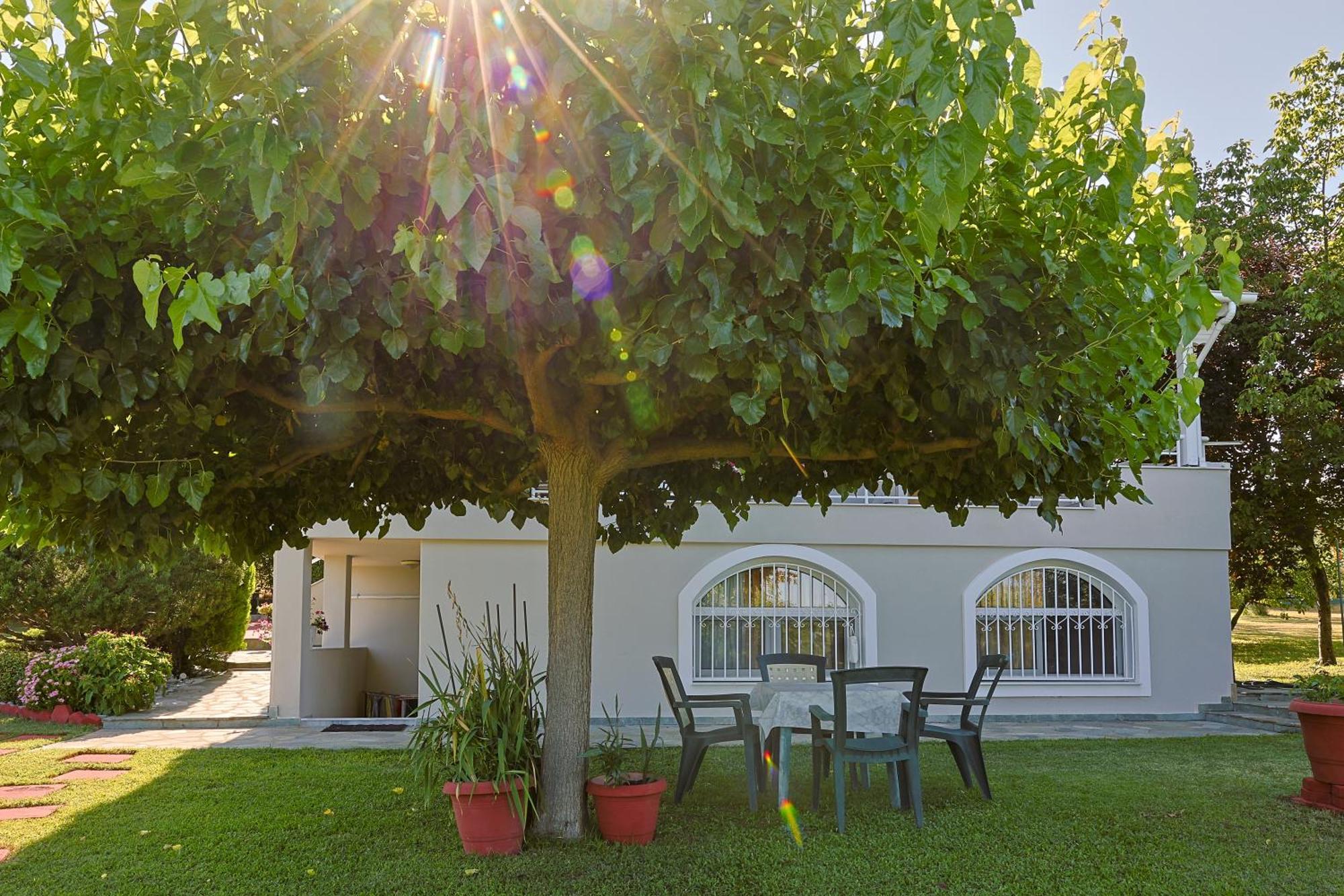 Vila Tammy'S Garden House Leptokaria Exteriér fotografie