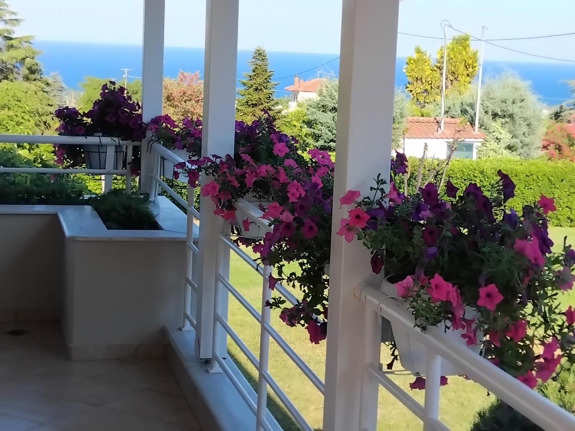 Vila Tammy'S Garden House Leptokaria Exteriér fotografie